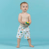The Beach Company Online India - Buy swim shorts for kids online - fancy printed swimming shorts for young boys - boys swimwear - boys swim shorts
