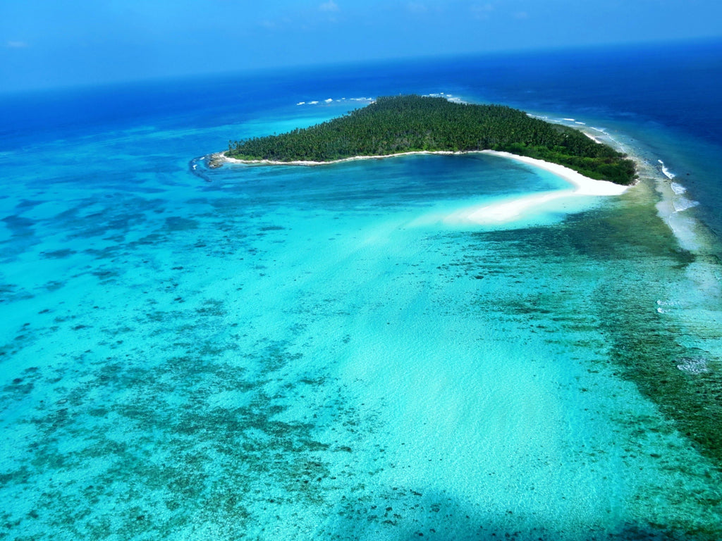 Marine and coastal tourism to contribute 26% to India's blue economy