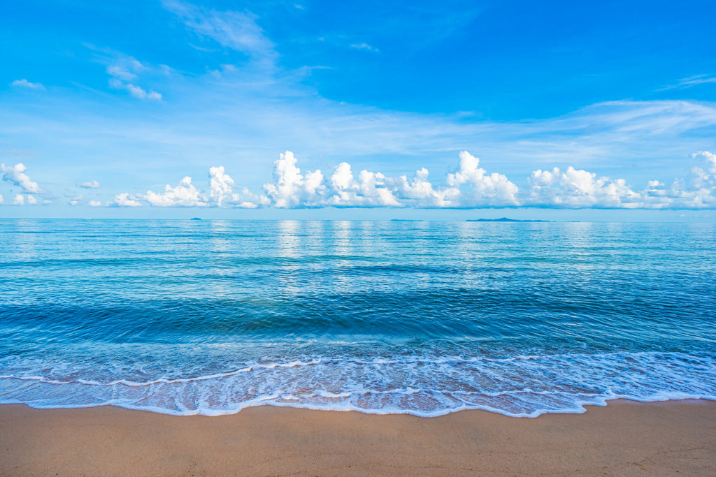 The OCEAN In POETRY