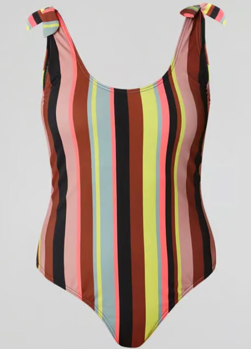 Multi-Colour Striped Swimsuit