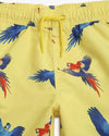 Macaw Printed Swim Shorts