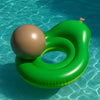 Avocado with Pool Ball 2pc Float Set