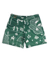 Warli Meadow