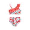 Watermelon Print One Shoulder Bikini Set