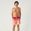 Shop Mens Swimwear ONLINE in INDIA - The Beach Company - online swim shop