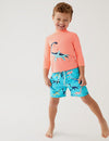 The Beach Company India - Shop kids swimwear online -  Boys swim suits - swimming shorts for young boys - boys branded swimwear