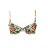 Toucan Print High Waist Bikini Bottom Set