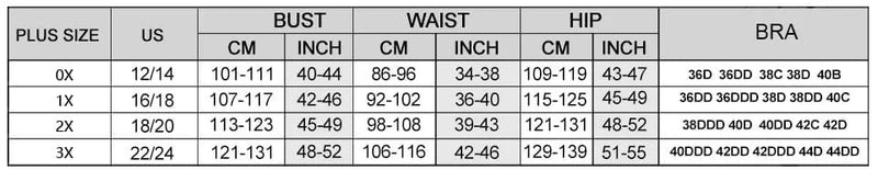 Retro Underwire Plus Size High Waist Bikini Set