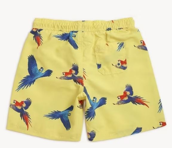 Macaw Printed Swim Shorts