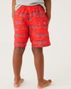 Alligator Swim Shorts