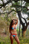 Chloe Red & Blue Sporty Triangle Trim Bikini
