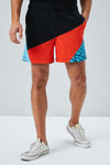 The Beach Company - online swimsuit shop in India - Buy mens graphic swim shorts