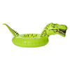 Dino Print Inflatable Tube