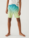 Ombre Swim Shorts