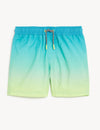 Ombre Swim Shorts