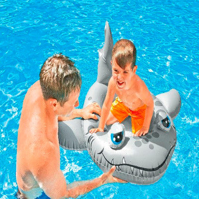 Shark Pool Cruiser