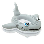 Shark Pool Cruiser