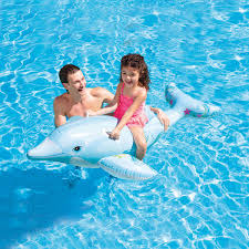 The Beach Company - Buy inflatable pool toys online - inflatable pool dolphin - kids floats - fun pool party idas