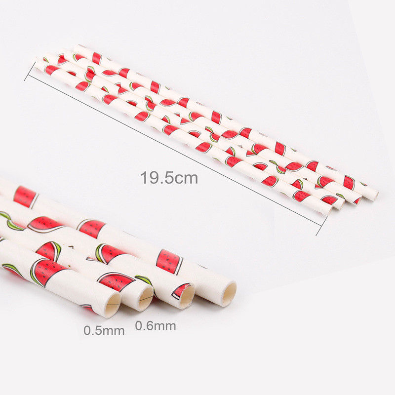 Watermelon Paper Straws (Pack of 25)